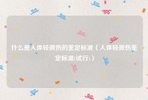什么是人体轻微伤的鉴定标准（人体轻微伤鉴定标准(试行)）
