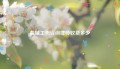 盐城工伤咨询律师收费多少