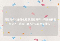 房屋共有人是什么意思,房屋共有人有哪些权利与义务（房屋共有人的优缺点是什么）