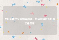沈阳离婚律师骗婚案调查，律师费陷阱背后的法律警示