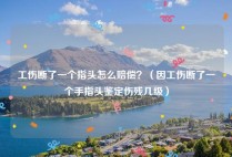 工伤断了一个指头怎么赔偿？（因工伤断了一个手指头鉴定伤残几级）