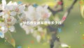 毕节市交通案律师多少钱