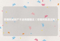 非婚同居财产不适用婚姻法（非婚同居违法吗）