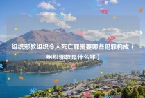 组织邪教组织令人死亡罪需要哪些犯罪构成（组织邪教是什么罪）
