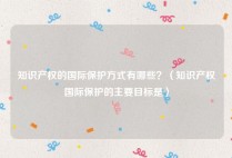 知识产权的国际保护方式有哪些？（知识产权国际保护的主要目标是）