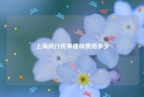 上海闵行民事律师费用多少