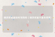 绩效奖金是按年发的吗（绩效奖是不是年终奖?）