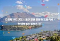 组织邪教组织致人重伤罪需要哪些犯罪构成（组织参加邪教组织罪）