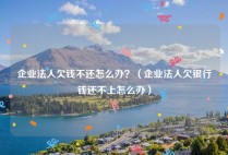 企业法人欠钱不还怎么办？（企业法人欠银行钱还不上怎么办）