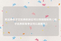 民法典中子女抚养权诉讼可以特别授权吗（孩子抚养权有争议可以离婚吗）