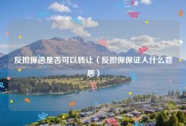 反担保函是否可以转让（反担保保证人什么意思）