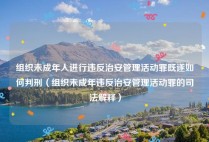 组织未成年人进行违反治安管理活动罪既遂如何判刑（组织未成年违反治安管理活动罪的司法解释）