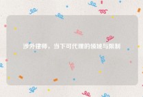 涉外律师，当下可代理的领域与限制