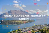 离婚诉讼中的几大管辖问题（离婚诉讼属于什么案件类型）