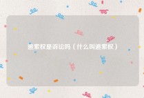 追索权是诉讼吗（什么叫追索权）