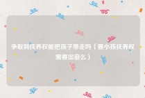 争取到抚养权能把孩子带走吗（要小孩抚养权需要出庭么）