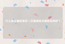 什么是交通险条款（交通保险买哪些险种好）