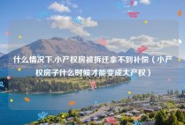 什么情况下,小产权房被拆迁拿不到补偿（小产权房子什么时候才能变成大产权）