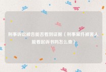 刑事诉讼被告能否看到证据（刑事案件被害人能看起诉书吗怎么查）