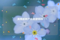 离婚能财产分割律师吗