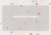 东营律师咨询工作时间多少