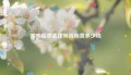齐齐哈尔孟律师咨询费多少钱