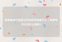 政府被执行信息公开化的范围是什么（政府执行公开什么意思）