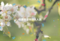 特朗普律师团队人数