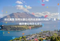 诉讼离婚,如何分割公司的出资额共同财产（离婚夫妻公司怎么分）