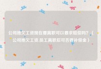 公司拖欠工资现在要离职可以要求赔偿吗？（公司拖欠工资,员工离职后可否要补偿金）