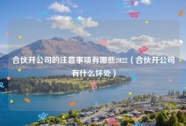 合伙开公司的注意事项有哪些2022（合伙开公司有什么坏处）