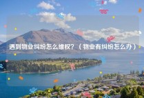 遇到物业纠纷怎么维权？（物业有纠纷怎么办）