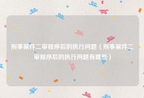 刑事案件二审程序后的执行问题（刑事案件二审程序后的执行问题有哪些）