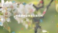 外地律师受理北京案件吗