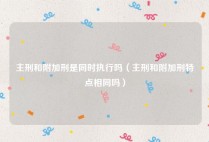 主刑和附加刑是同时执行吗（主刑和附加刑特点相同吗）