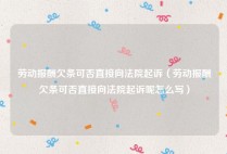 劳动报酬欠条可否直接向法院起诉（劳动报酬欠条可否直接向法院起诉呢怎么写）