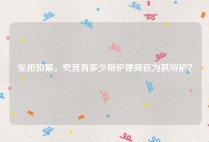 张扣扣案，究竟有多少辩护律师在为其辩护？