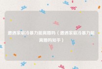 遭遇家庭冷暴力能离婚吗（遭遇家庭冷暴力能离婚吗知乎）