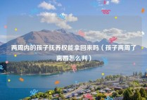 两周内的孩子抚养权能拿回来吗（孩子两周了离婚怎么判）
