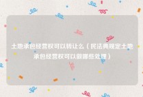 土地承包经营权可以转让么（民法典规定土地承包经营权可以做哪些处理）
