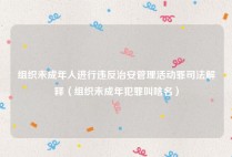 组织未成年人进行违反治安管理活动罪司法解释（组织未成年犯罪叫啥名）