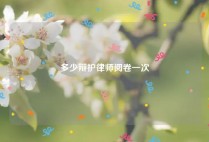 多少辩护律师阅卷一次