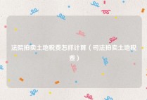法院拍卖土地税费怎样计算（司法拍卖土地税费）