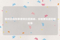 泰州咨询刑事律师价格揭秘，你需要知道的那些事