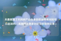 夫妻离婚了共同财产山头承包收益所得纠纷可以起诉吗（离婚时土地承包经营权如何处理）