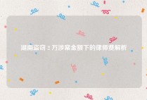 湖南盗窃 2 万涉案金额下的律师费解析