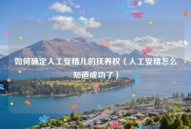 如何确定人工受精儿的抚养权（人工受精怎么知道成功了）