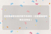 招摇撞骗罪加重的情节有哪些（招摇撞骗罪的概念及特征）