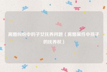 离婚纠纷中的子女抚养问题（离婚案件中孩子的抚养权）