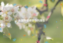 在国外律师好当吗现在